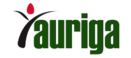 Auriga